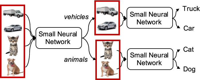 module neural network